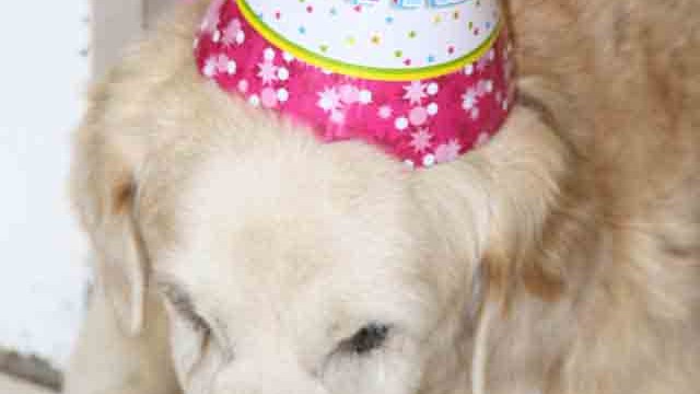 Pangea's 14th birthday bash