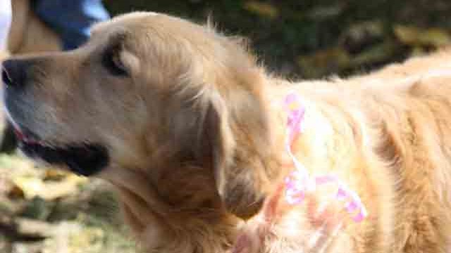 Pangea's 14th birthday bash