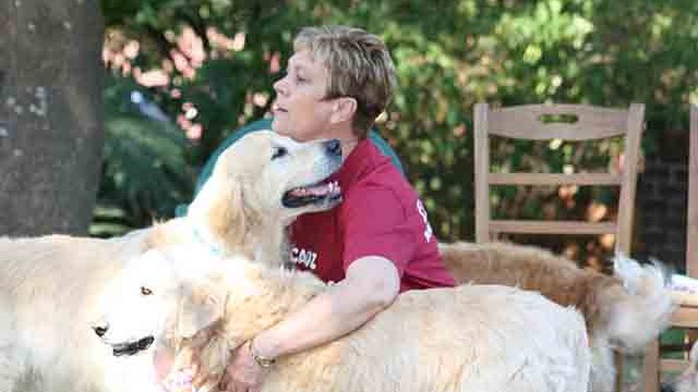 Pangea's 14th birthday bash