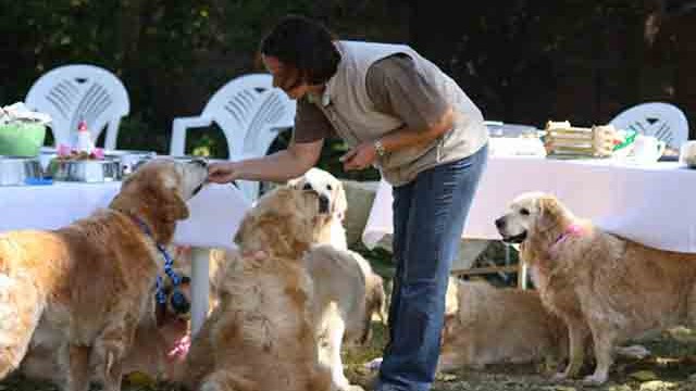 Pangea's 14th birthday bash