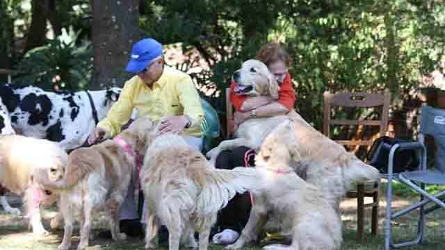 Pangea's 14th birthday bash