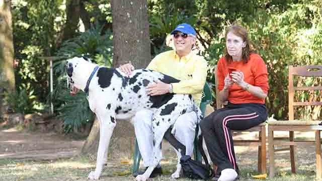 Pangea's 14th birthday bash