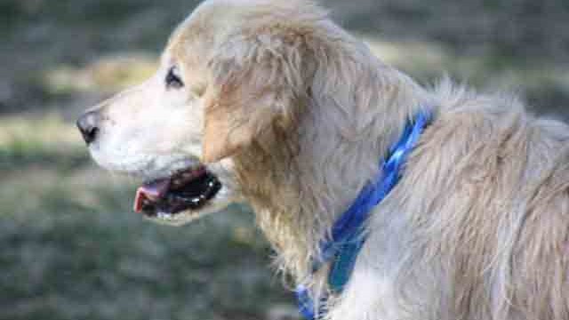 Pangea's 14th birthday bash