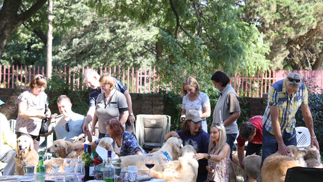 Pangea's 14th birthday bash