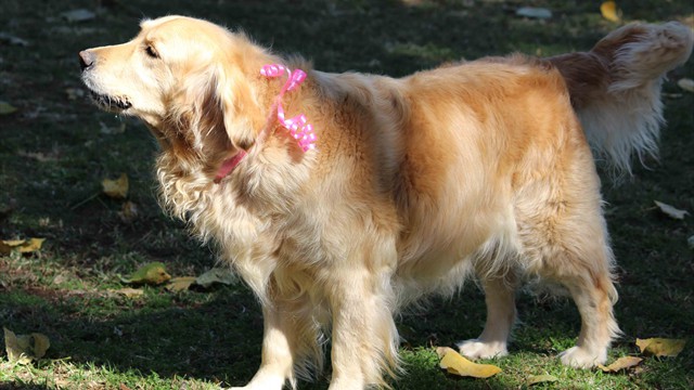 Pangea's 14th birthday bash