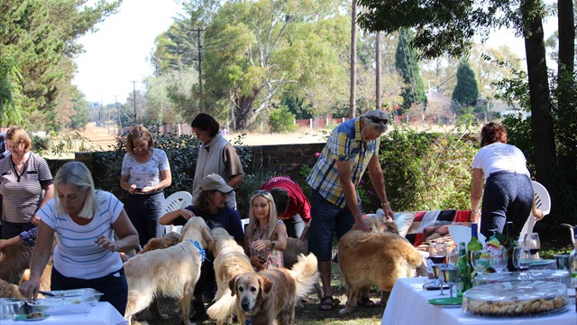 Pangea's 14th birthday bash