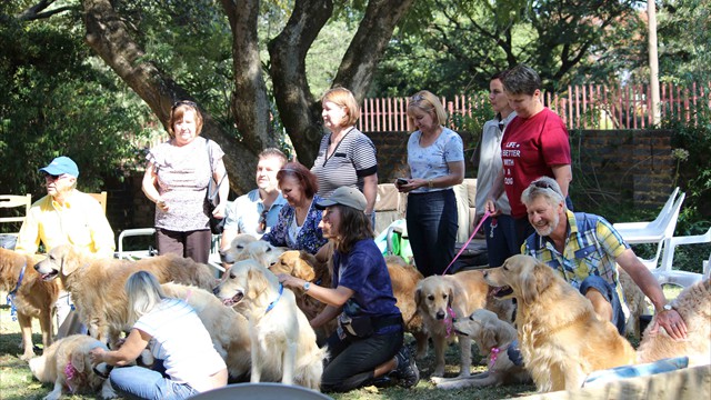 Pangea's 14th birthday bash