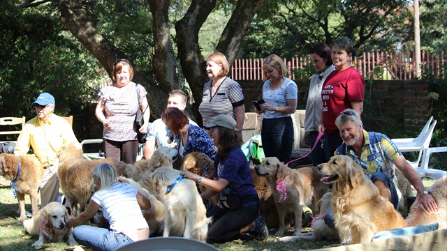 Pangea's 14th birthday bash