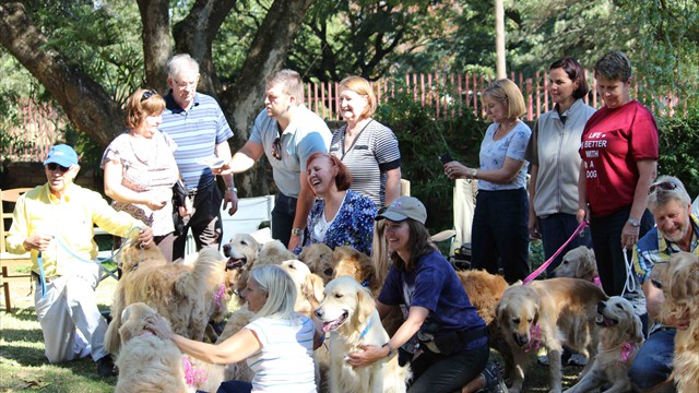 Pangea's 14th birthday bash