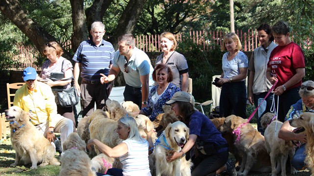 Pangea's 14th birthday bash