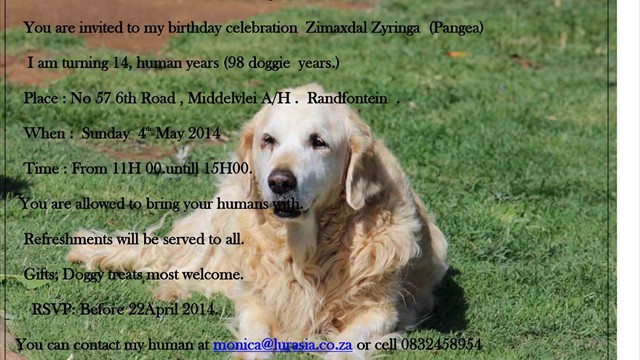 Pangea's 14th birthday bash