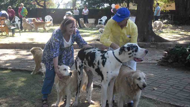 Pangea's 14th birthday bash