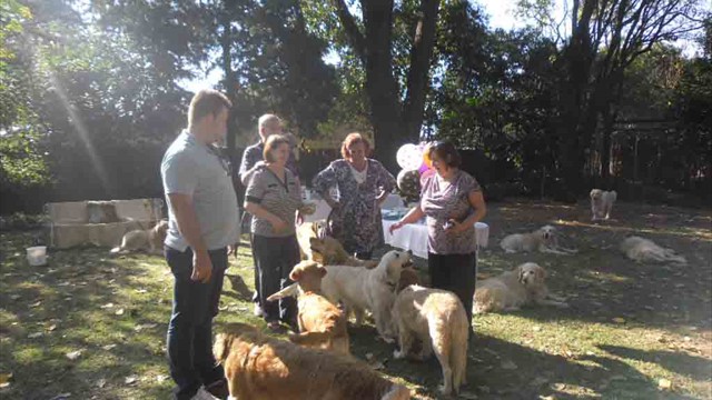 Pangea's 14th birthday bash