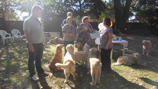 Pangea's 14th birthday bash